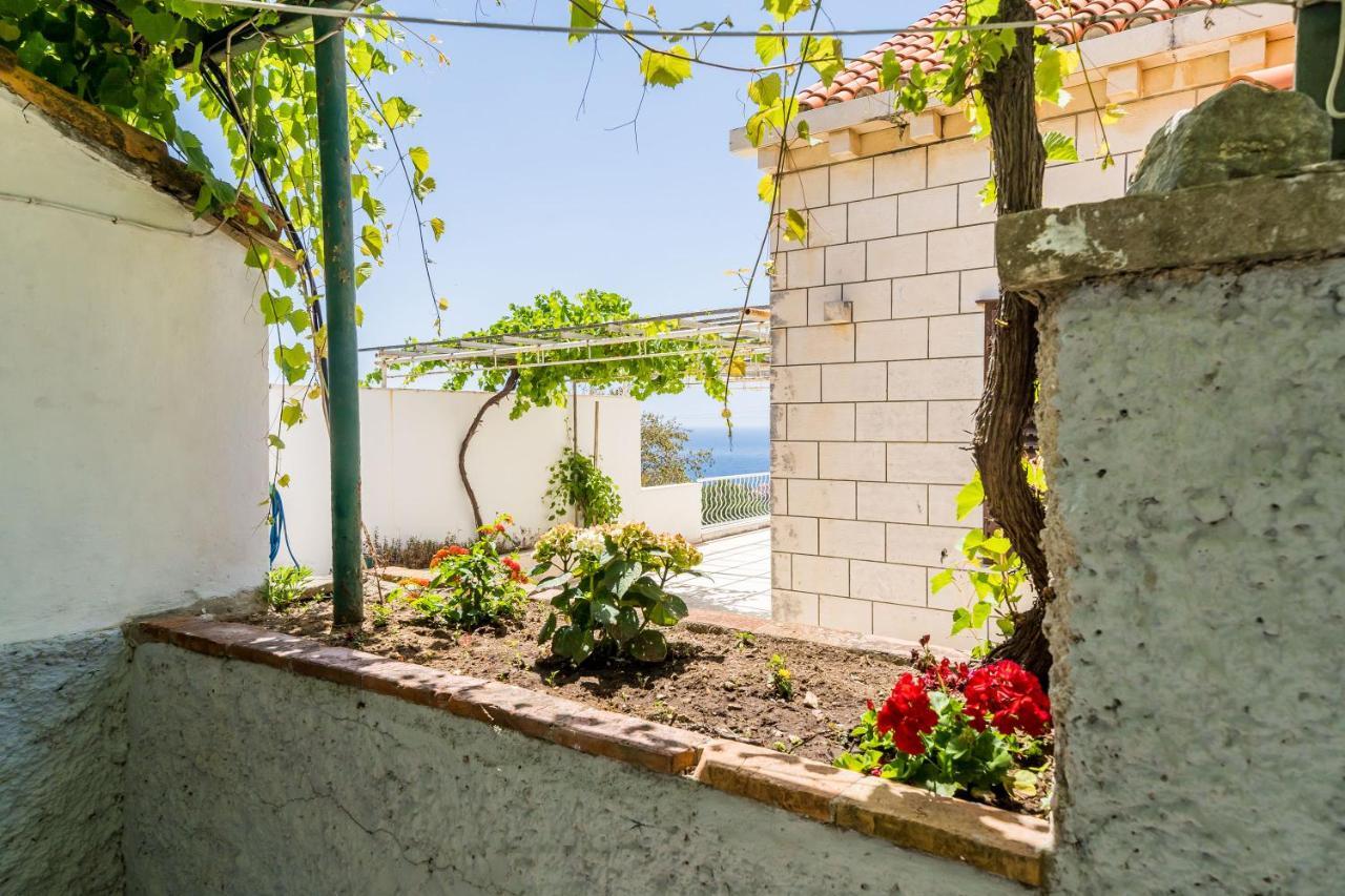 Apartment Marija Close To Old Town Dubrovnik Buitenkant foto